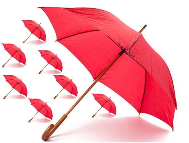 Income Replacement Term Plan Featured Image